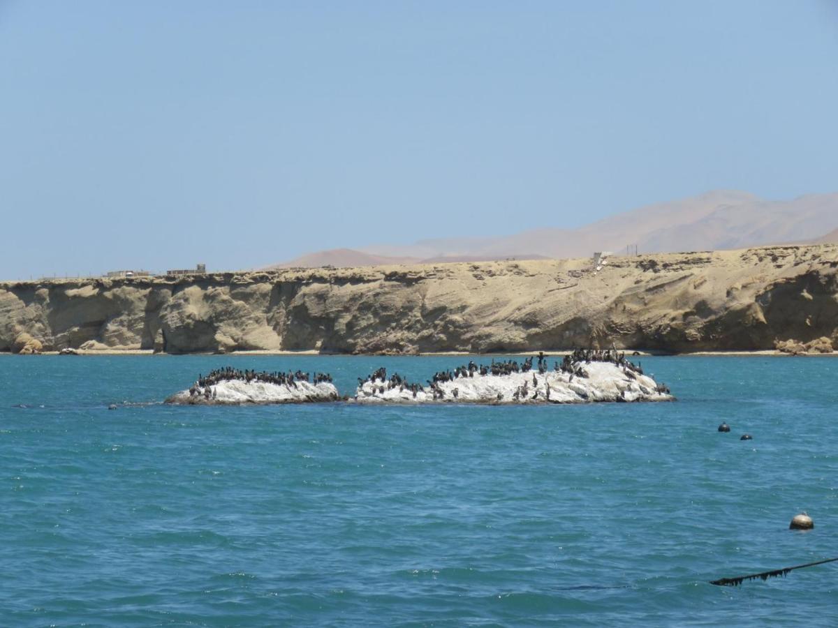 Paracas Apartment Exterior photo